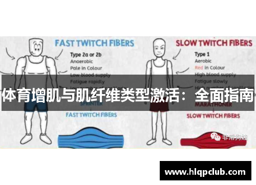 体育增肌与肌纤维类型激活：全面指南