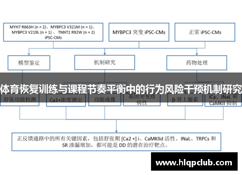 体育恢复训练与课程节奏平衡中的行为风险干预机制研究
